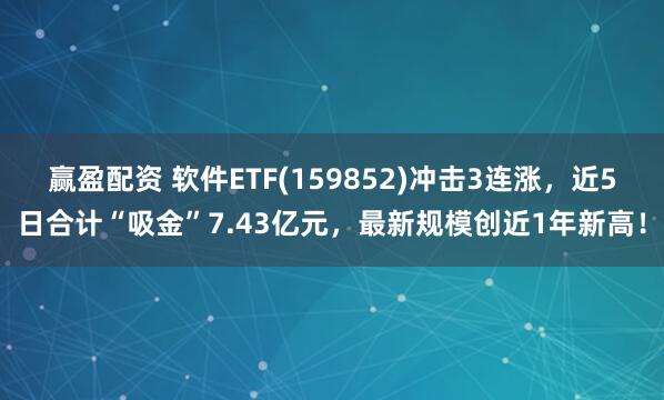 赢盈配资 软件ETF(159852)冲击3连涨，近5日合计“吸金”7.43亿元，最新规模创近1年新高！