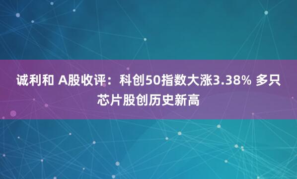 诚利和 A股收评：科创50指数大涨3.38% 多只芯片股创历史新高